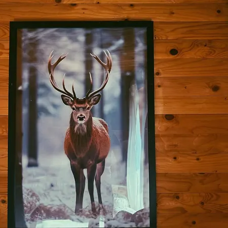 Casa Mia Kupres (Canton 10)